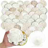 く*み様 Offen scallop pearls pattern 39 Pearl White Serpentine with Silver Aluminum Polished – Elon